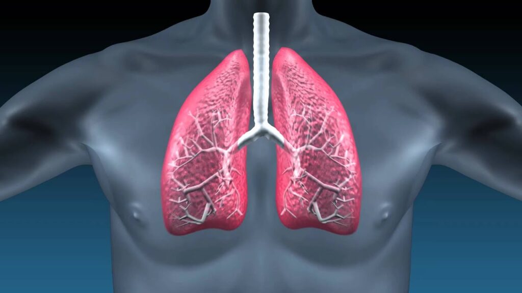 Progressive Pulmonary Fibrosis PPF Treatment Market