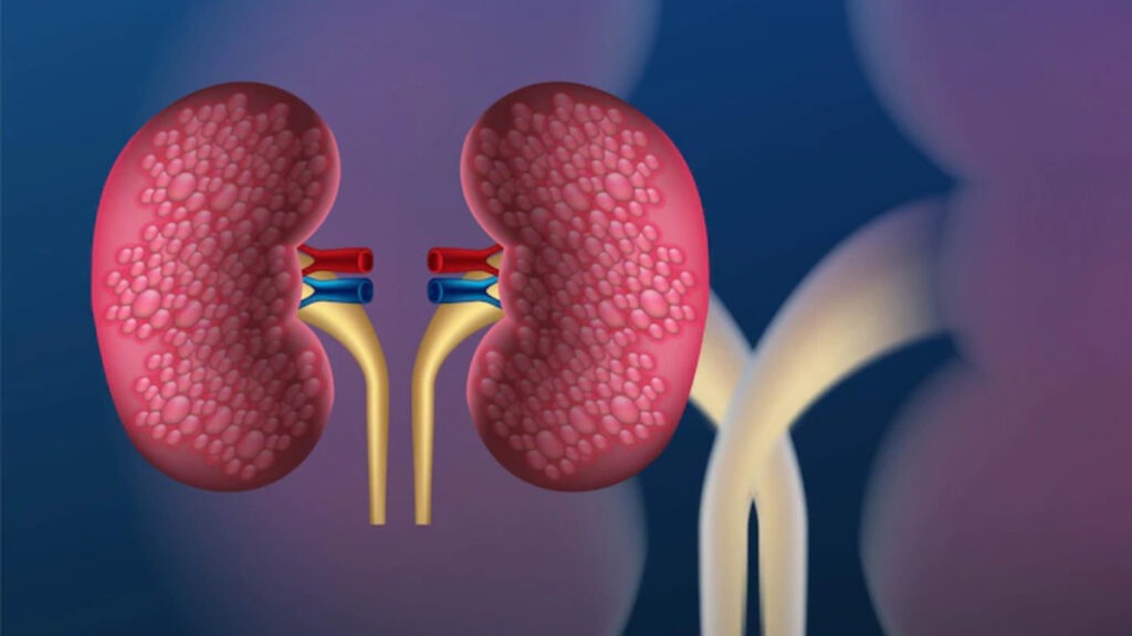 Renal Function Test Market