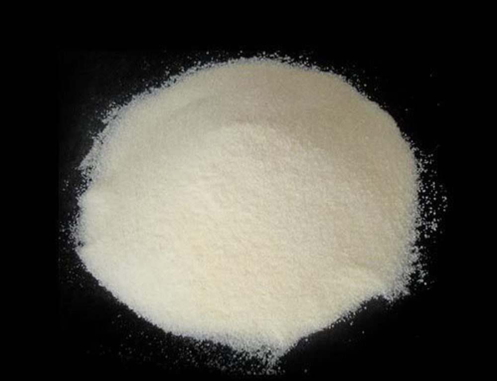 Sodium Caseinate