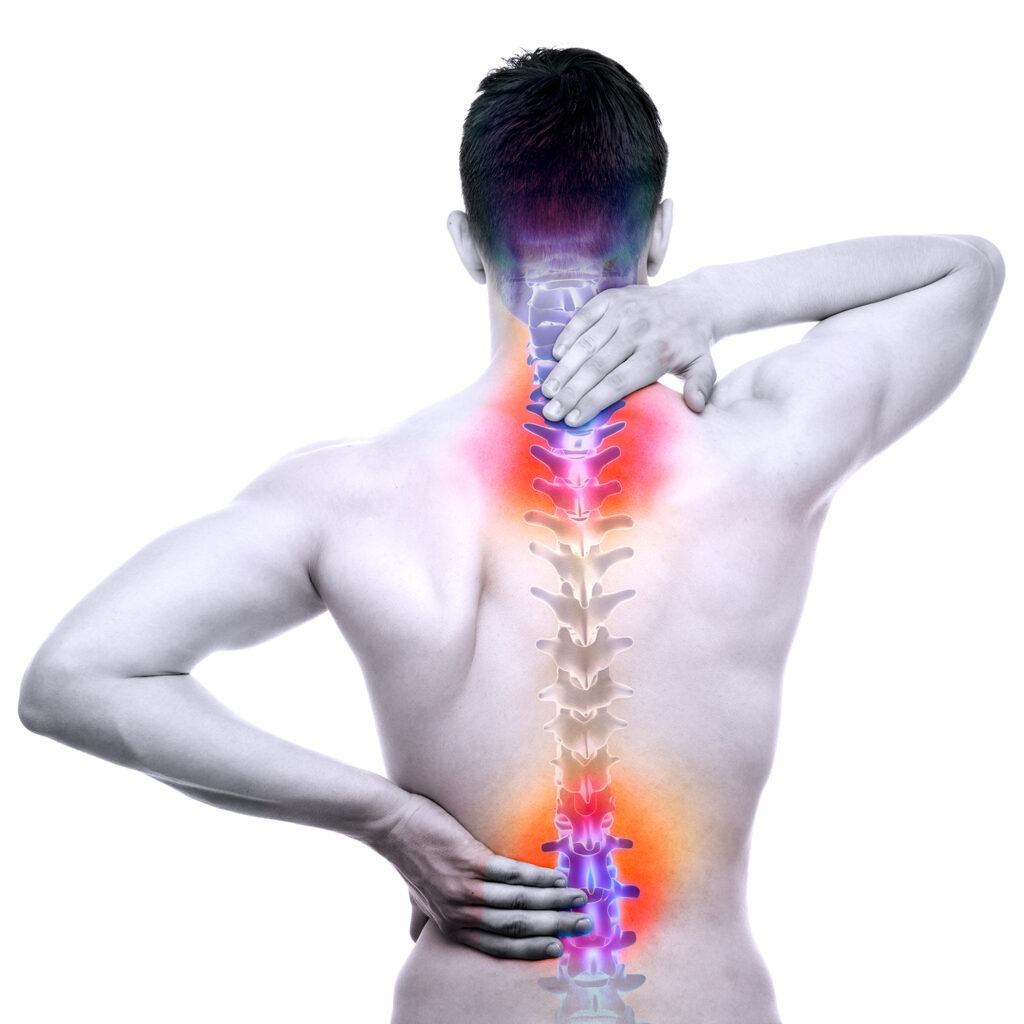 Spine Pain Market