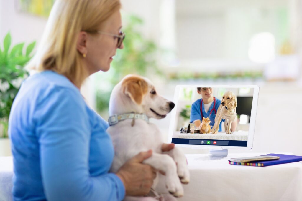 Veterinary Telemedicine Market