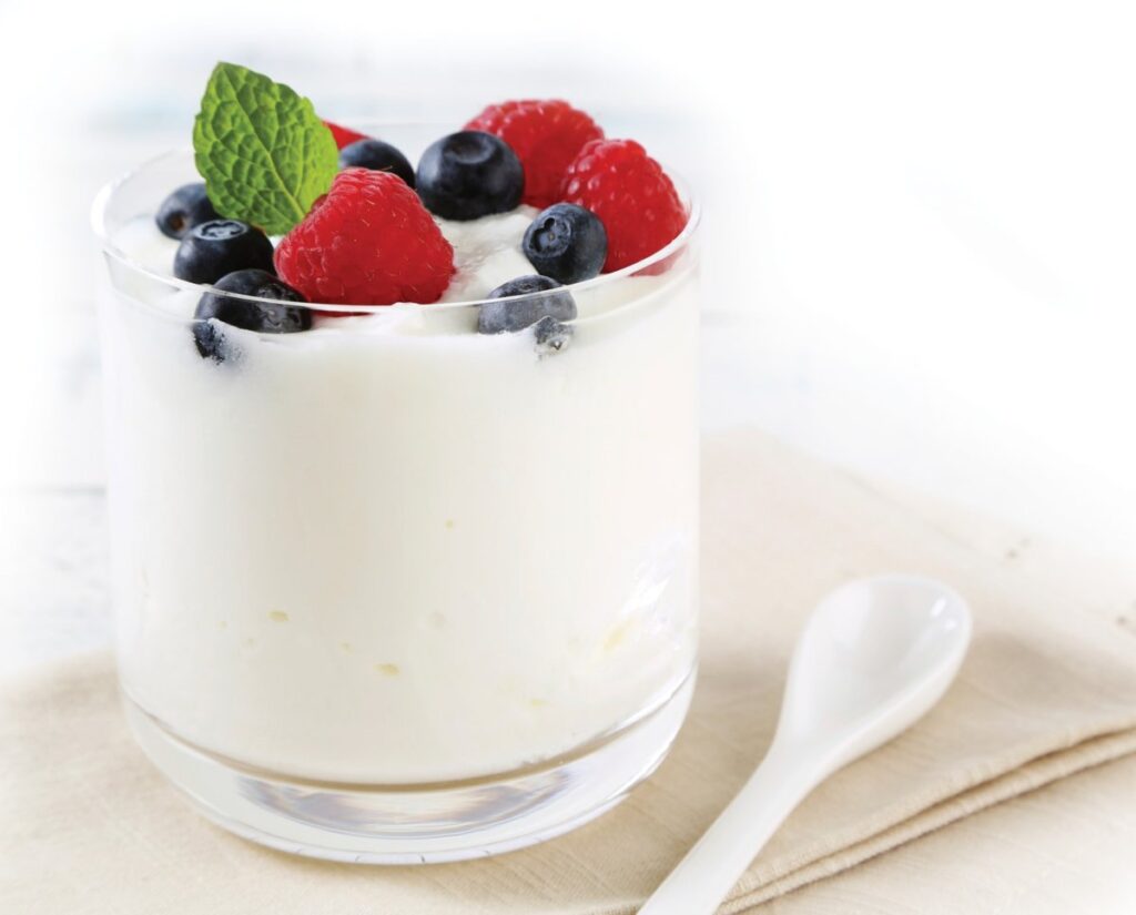 Yogurt and Probiotic Drink Market 