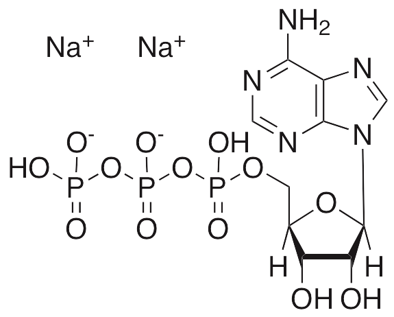 Disodium Adenosine Triphosphate Market