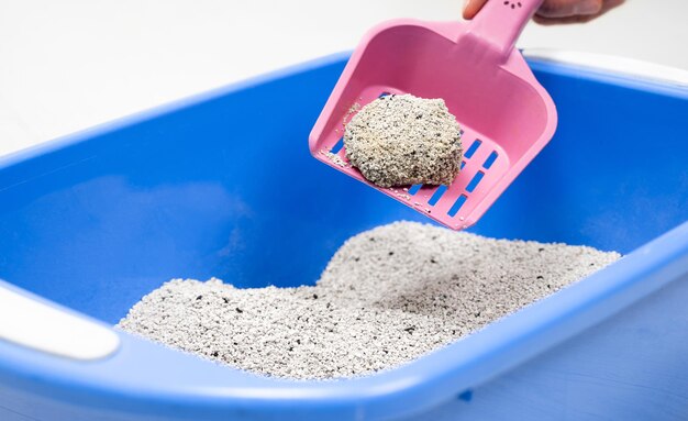 Bentonite Cat Litter Market