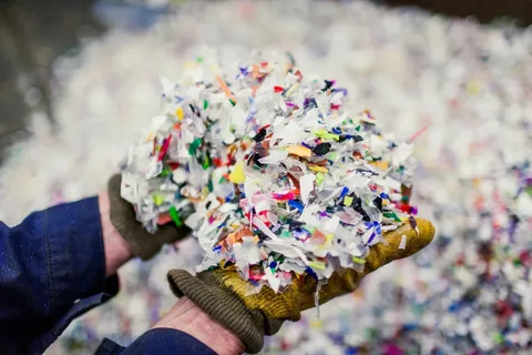 biobased biodegradable plastic industry