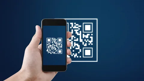 QR Code Payment Market