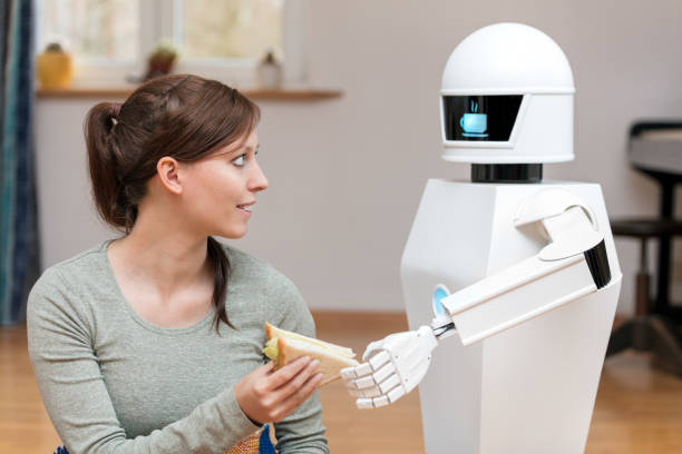 Household Robot Market