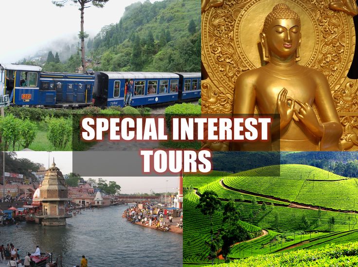 Special Interest Tourism Market