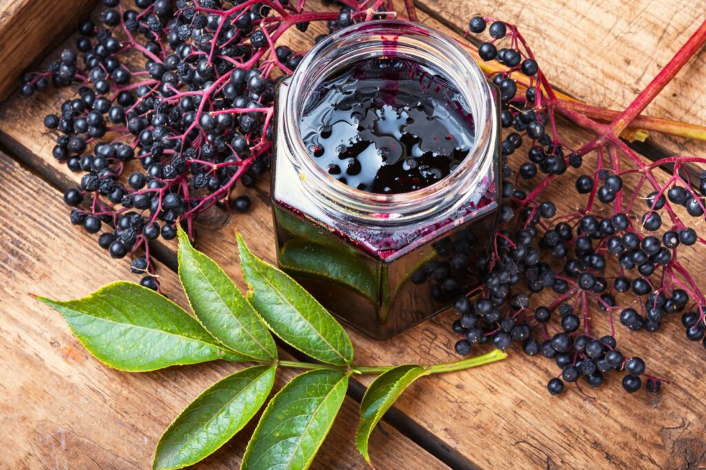 Elderberry Supplements Market 