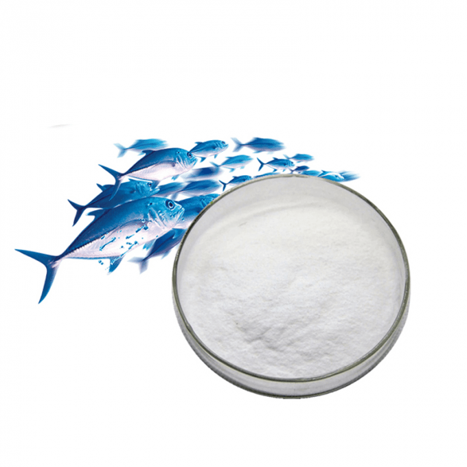 Fish Collagen Peptides 