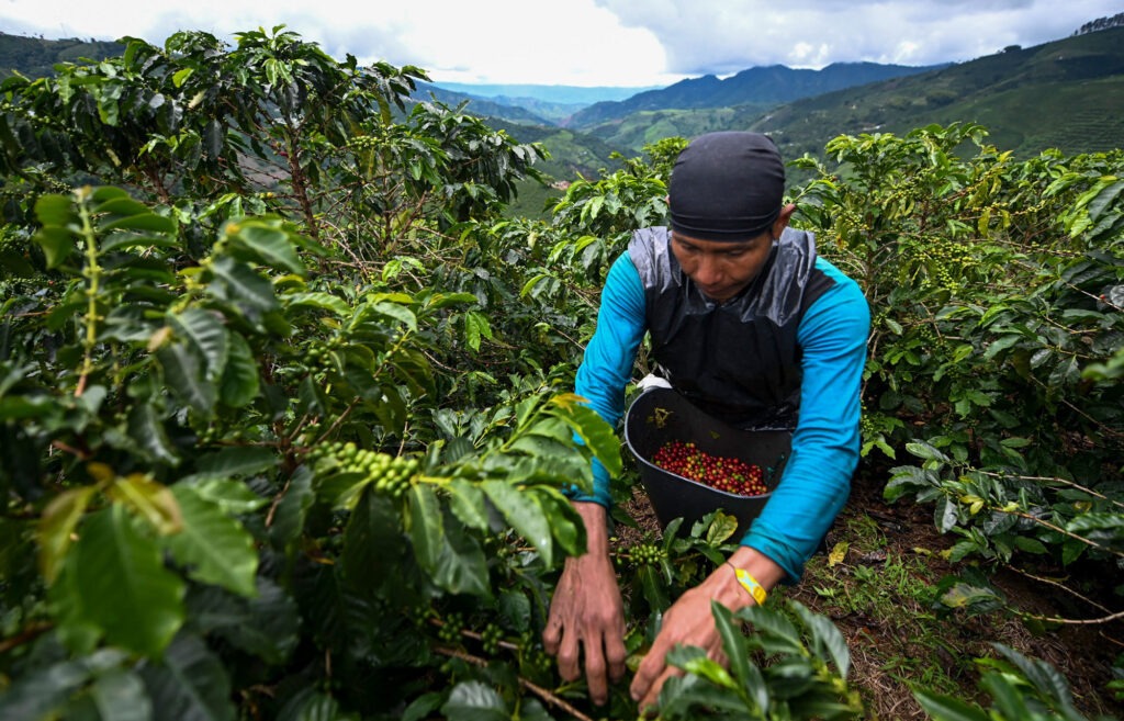 Colombia Agro Tourism Market 