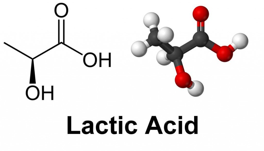 Gypsum-free Lactic Acid Market