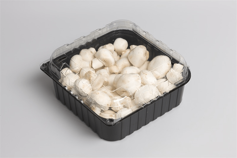 Mushroom Packaging Market