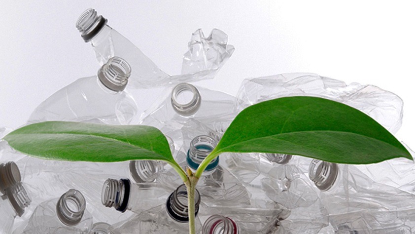 Sustainable Plastic Packaging