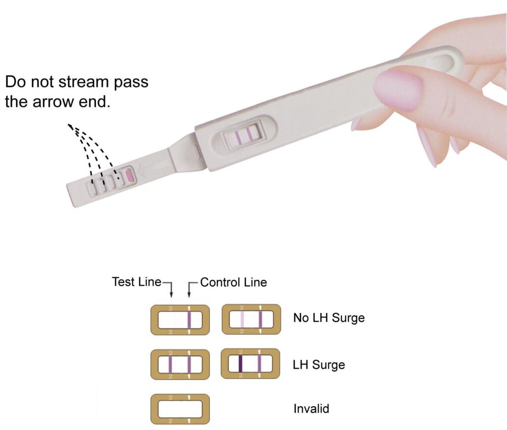 United States Digital Ovulation Test Kits Market