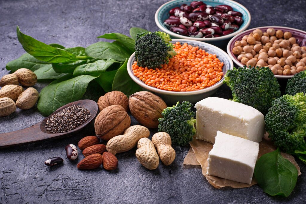 Vegan Protein Foods Market 