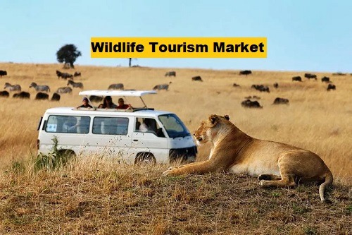 Wildlife Tourism Market