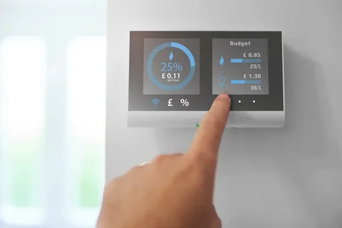 Smart Electric Meter Market