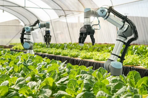 Agricultural Robots Market