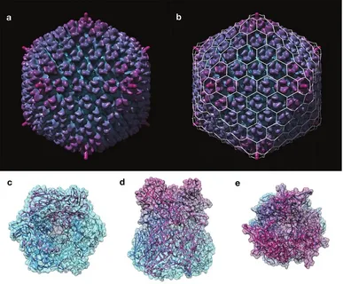 Cryo-electron Microscopy Market