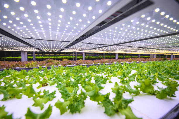 Indoor Farming Market