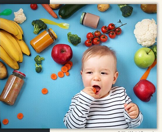 BRIC Organic Baby Food Market