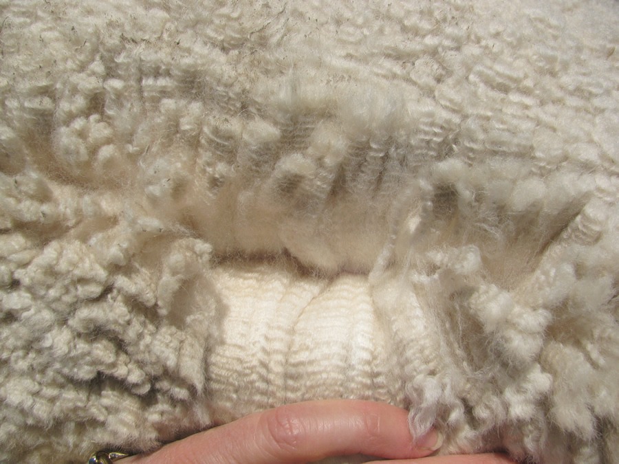 Alpaca Fiber