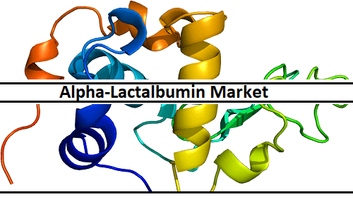 Alpha-Lactalbumin Market