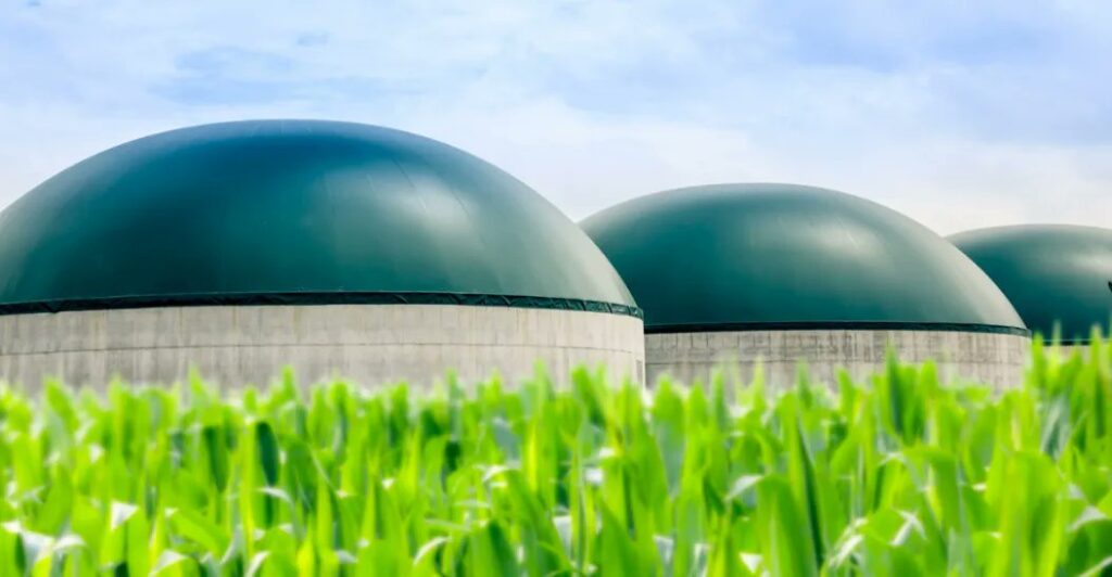 Biogas Market Outlook