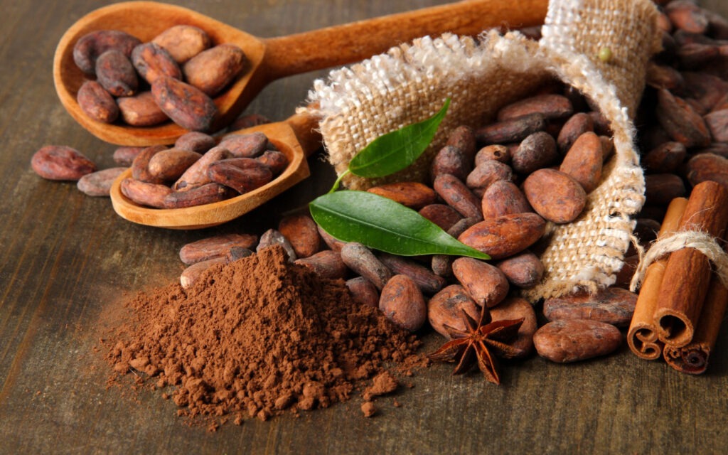Cocoa Bean Extract Market