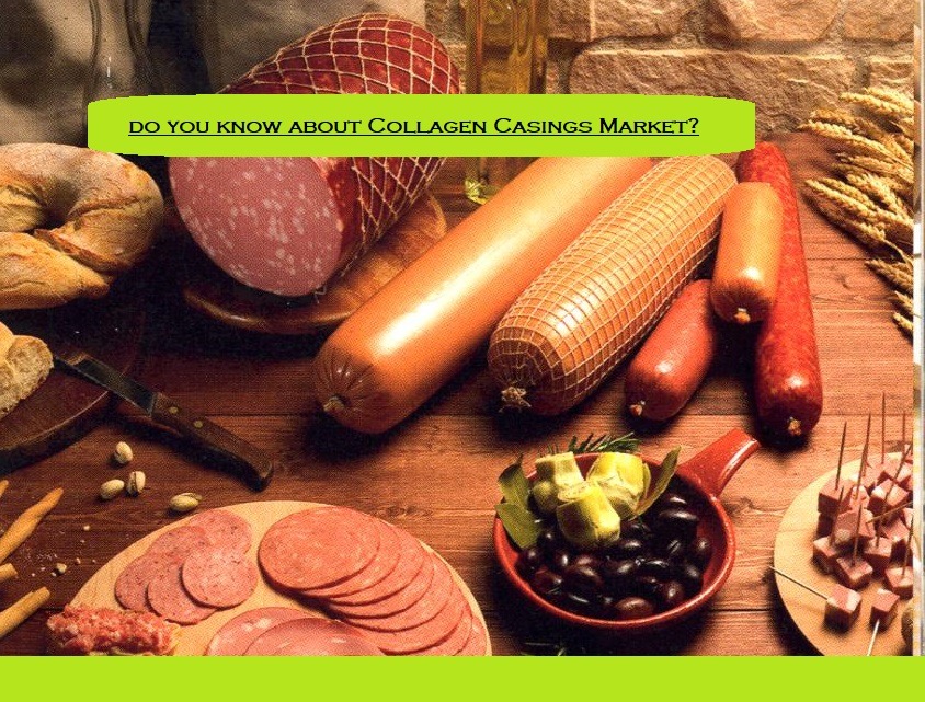 Collagen Casings Market