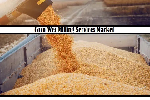 Corn Wet Milling Services Market