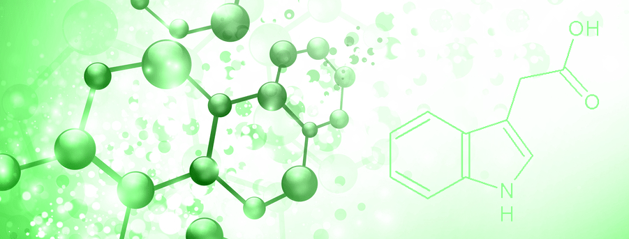 Cytokinins