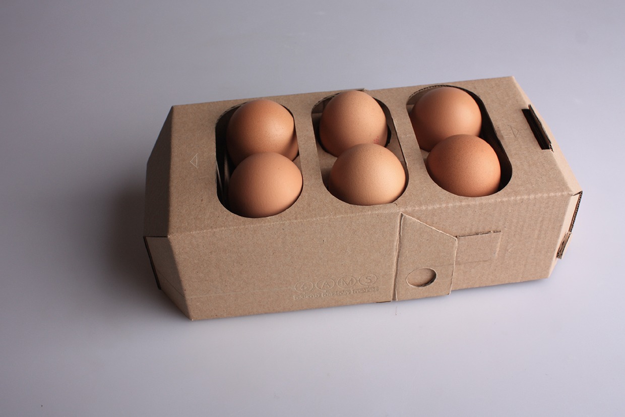 Egg Packaging Market