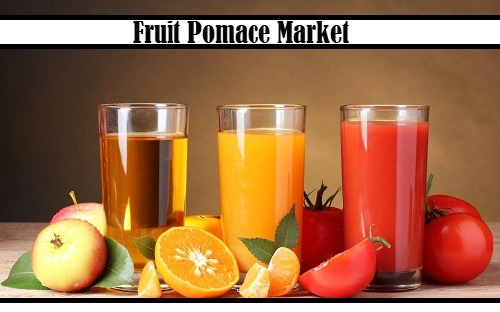  Fruit Pomace Market