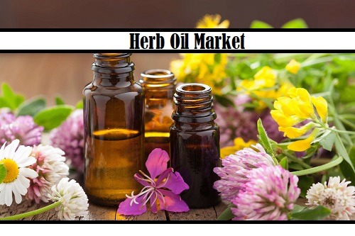 Herb Oil Market