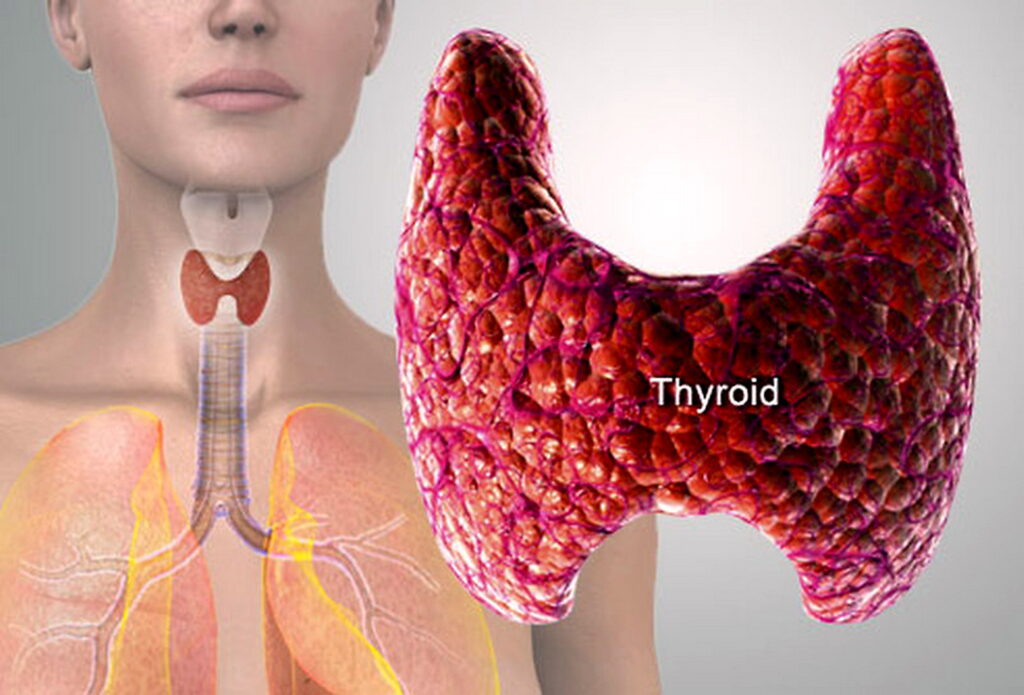 Injectable Thyroid Drug Market