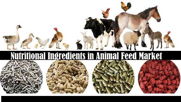 Nutritional Ingredients in Animal Feed Market