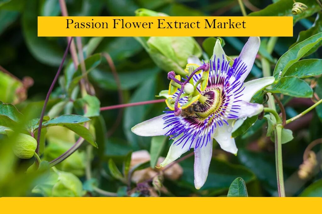 Passion Flower Extract Market