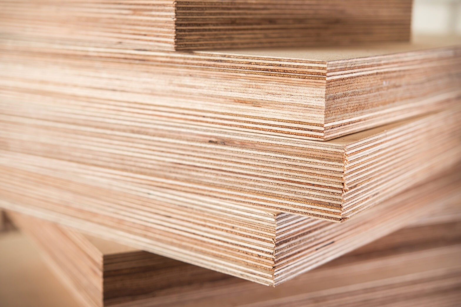 Plywood Industry