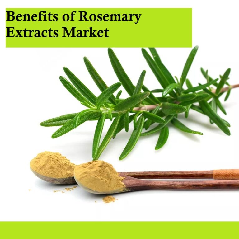 Investing in Botanicals Exploring the Growth of the 4.8 CAGR Rosemary