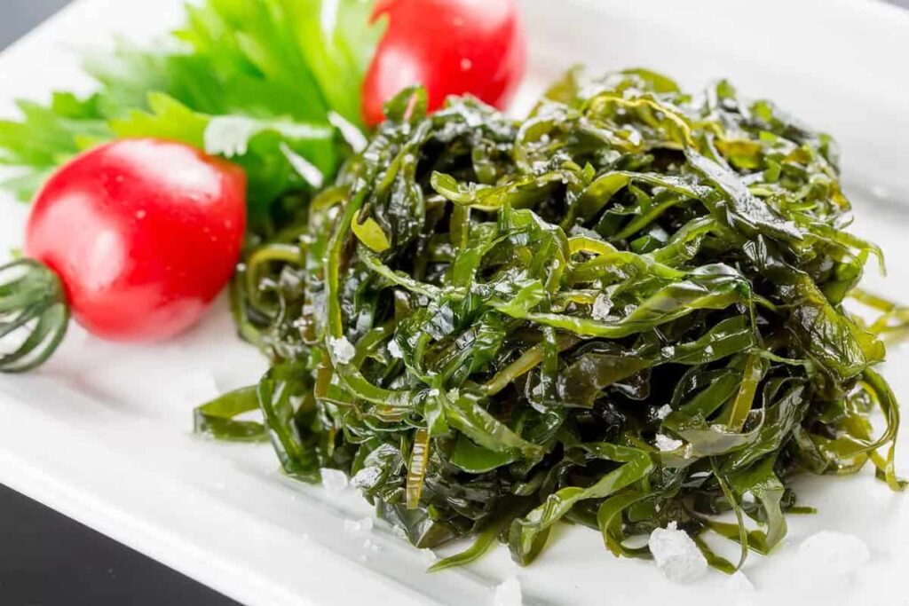 Seaweed Protein Market