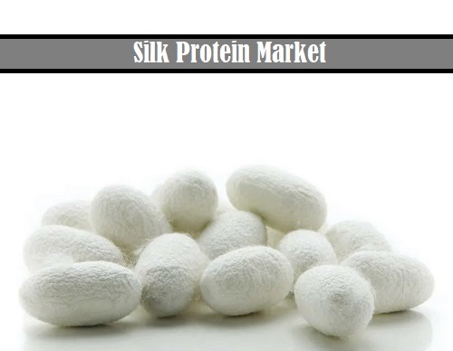Silk Protein Market