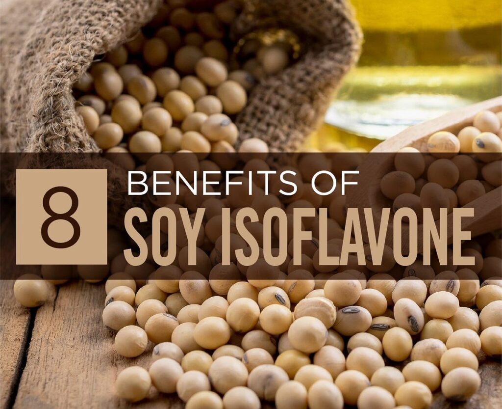 Soy Isoflavones Market