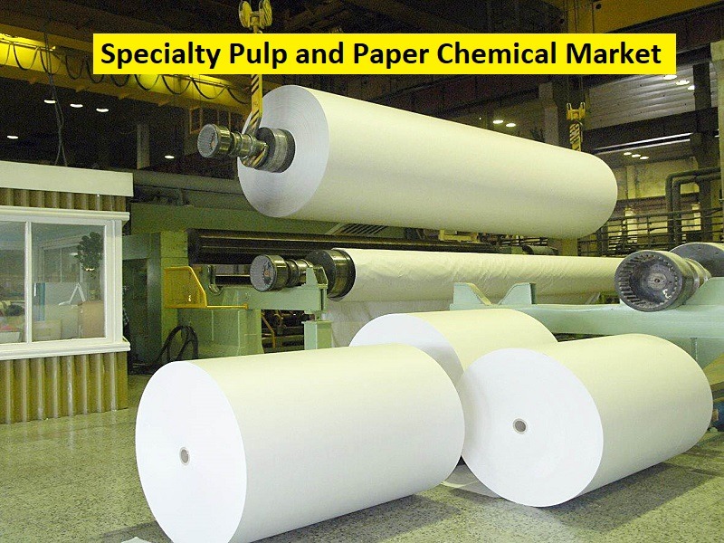 Specialty Pulp and Paper Chemical Market