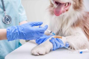 Global Veterinary Vaccines Market