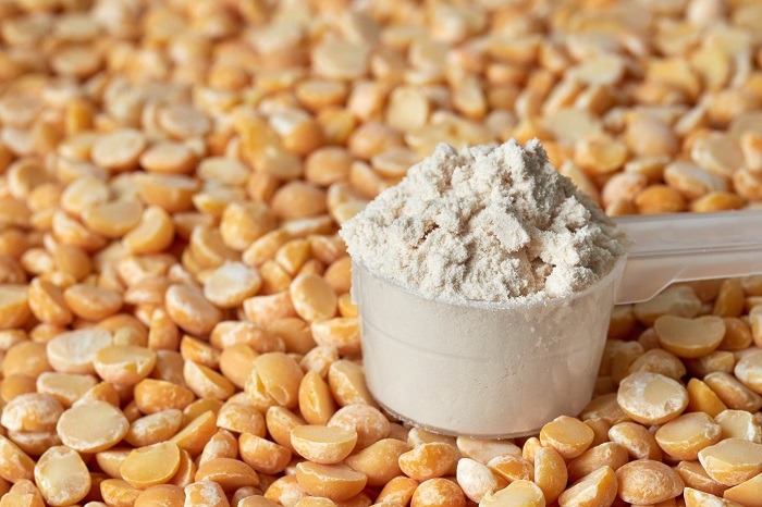 Yellow Pea Protein Market