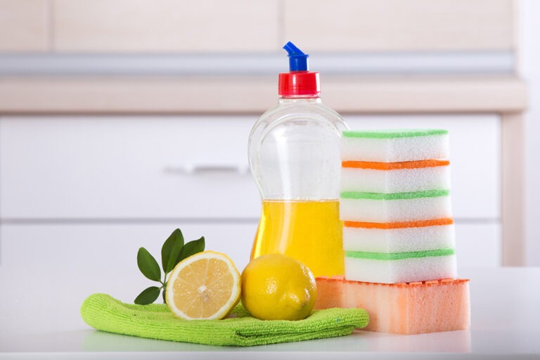 Dishwashing Additives Market