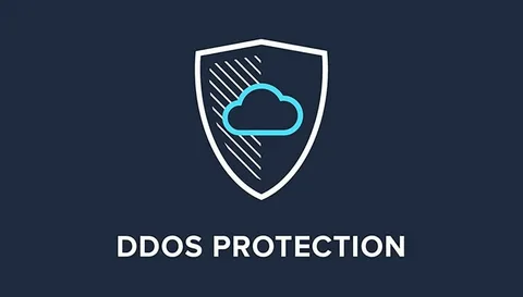 DDoS Protection Market