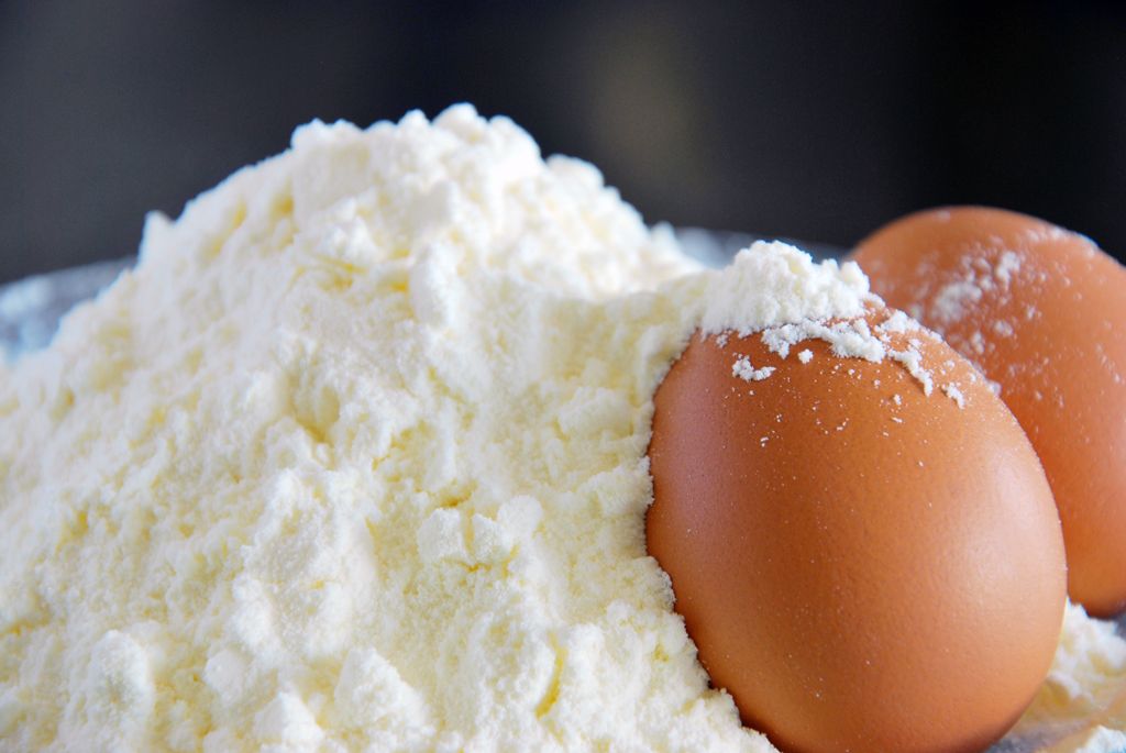 Egg Albumin Protein Market